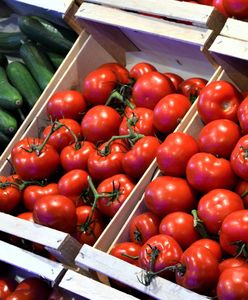 "Zapchanie" na rynku pomidorów. Co dzieje się z cenami?
