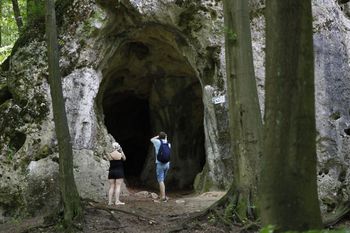 Tajemnicze opowieści Złotego Potoku. Odkryj fascynujące sekrety Zamku Ostrężnik i magicznego Rezerwatu 'Tropem Tajemnic'