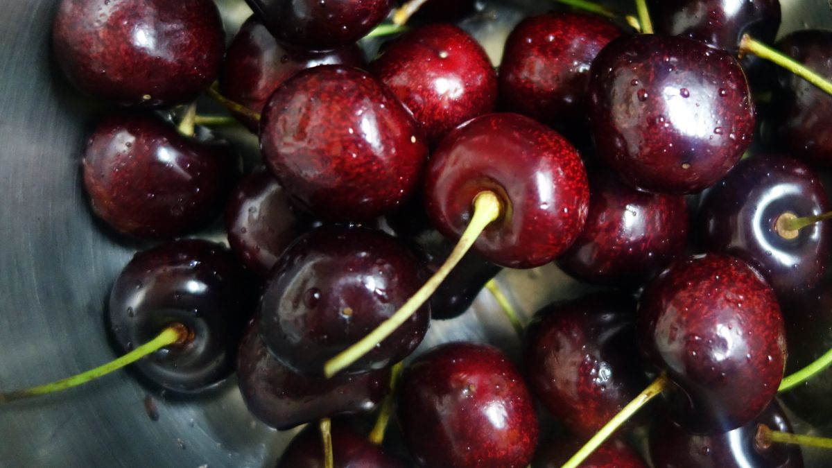 Ogonki czereśni też są zdrowe. Warto sporządzić z nich napar