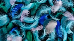 Pteronofobia, czyli lęk przed łaskotaniem piórami