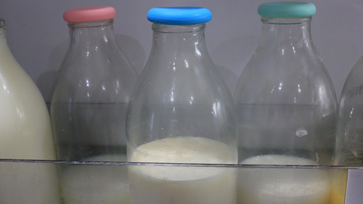 Mleko u niektórych osób wywołuje dolegliwości żołądkowe.