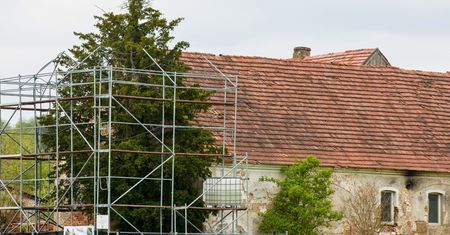 Przetrwało uderzenie pocisku artylerii i huragan. Oto najstarsze drzewo w Polsce