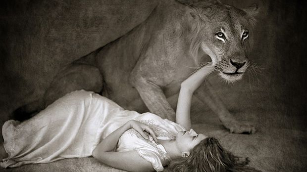 Ten projekt łączy dostojne piękno natury oraz kult młodości w interesującej estetyce 1