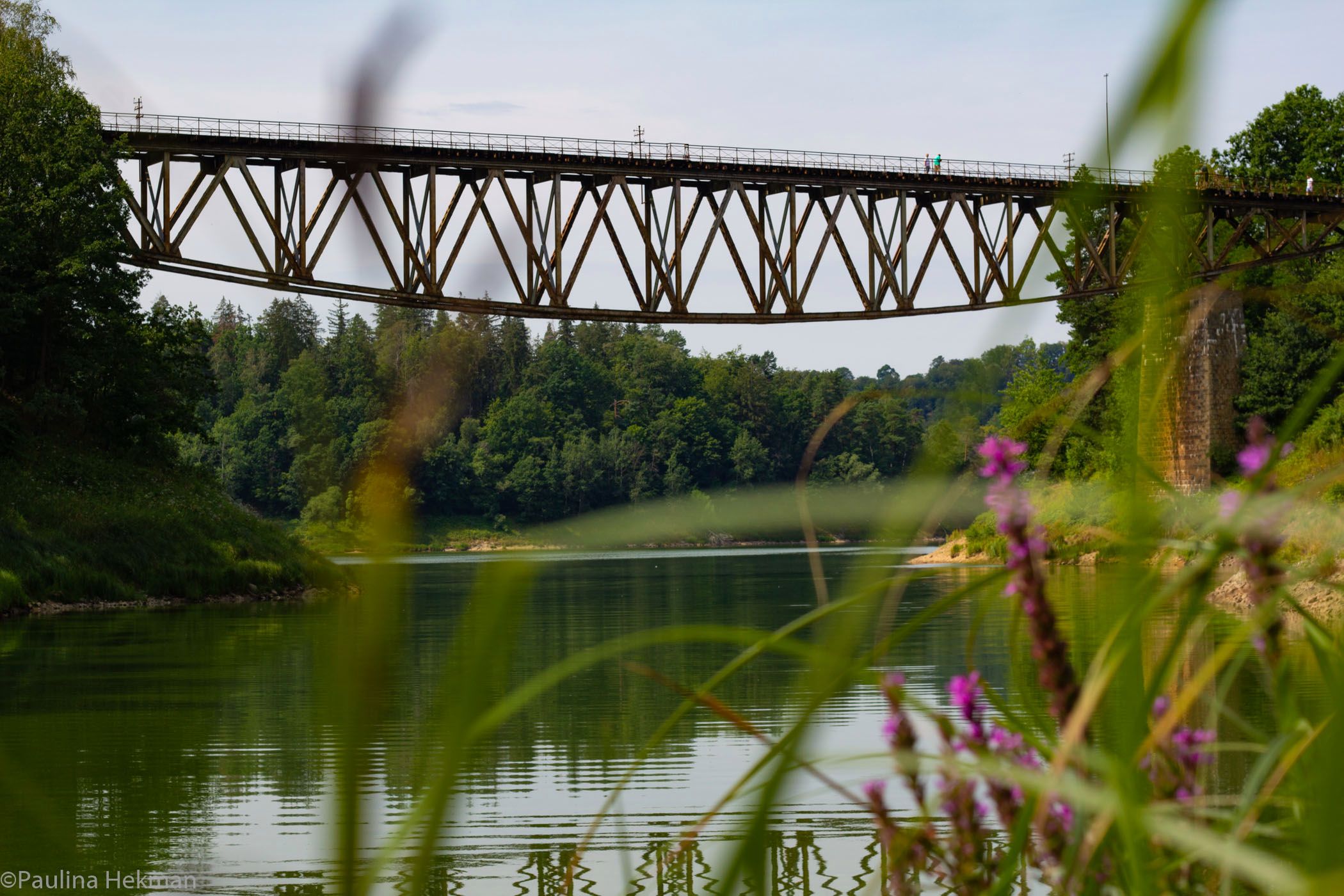 Most Pilchowicki budzi kontrowersje. Te zdjęcia pokazują, że należy mu się ochrona 1