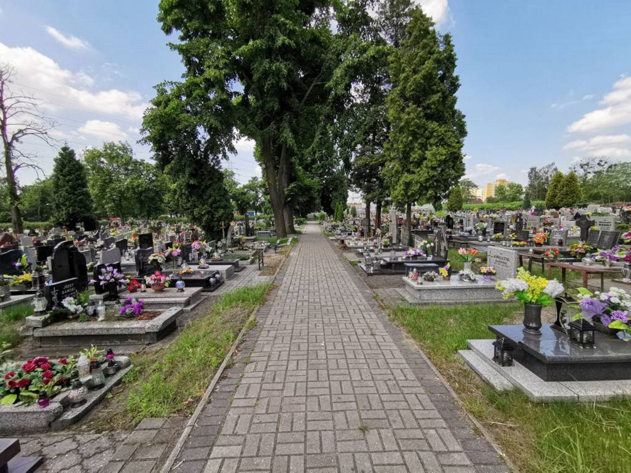 Przełomowy wyrok sądu. Chodzi o opłaty na cmentarzach
