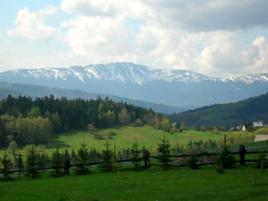 Obraz