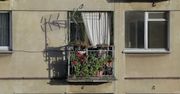 Grzywna za upiększanie balkonu kwiatami. Kodeks mówi jasno