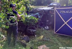 Dramatyczny wypadek na niebezpiecznej trasie. Auto wbiło się drzewo