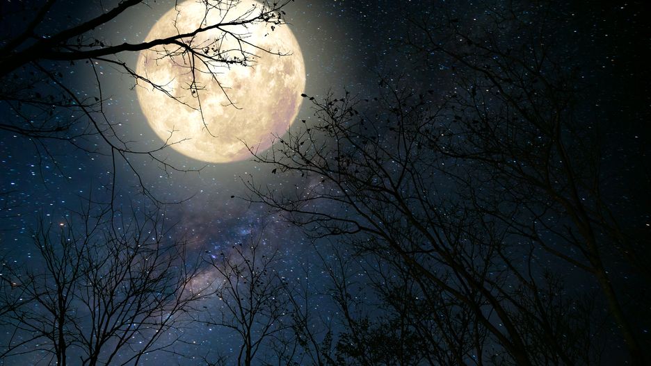 Pełnia Księżyca zbiegnie się z dwoma rojami meteorów 