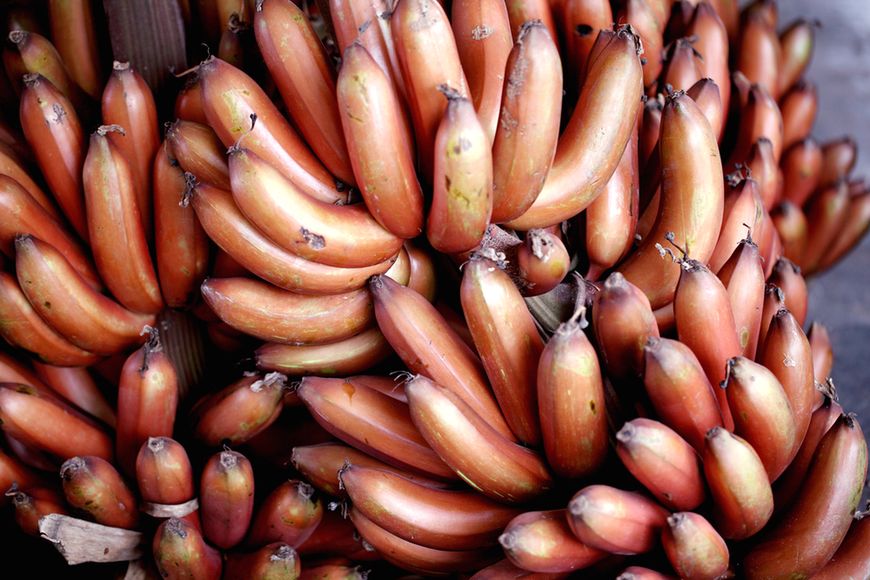 Czerwone banany 