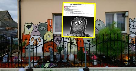 "15 serduszek nie wytrzymało". Dramatyczny wpis po sylwestrze