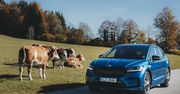 Skoda Enyaq iV pokazuje biznesową drogę czeskiej marki. I sporo mówi o przyszłości branży samochodów elektrycznych