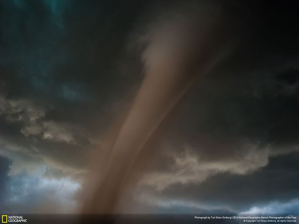 Poznaliśmy zwycięzców konkursu National Geographic Nature Photographer of the Year 2016 7