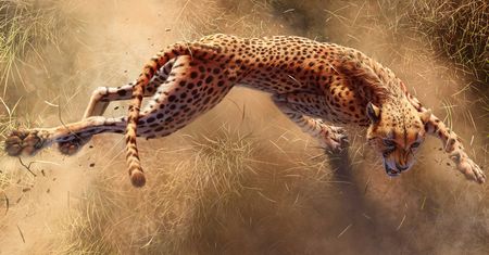 Zobacz, jak najnowsza kampania Nat Geo prezentuje krąg życia