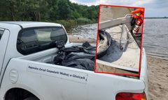 Eksperyment rozwiąże problem złotej algi? "Wypalanie ogniem" problemu