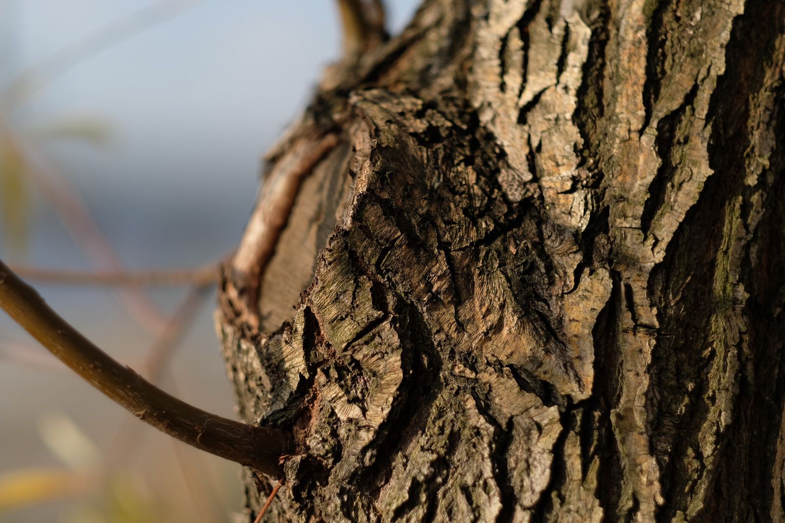 Fujifilm 56 mm f/1.2 APD – prawie test, czyli kadrów kilka z nowej portretówki 6