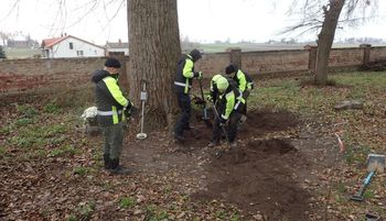 Odkrycie na cmentarzu w Wielkopolsce. "Silne zdekompletowanie"
