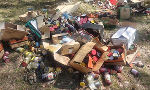 "To nie spiżarnia". Leśniczy znalazł je wśród drzew