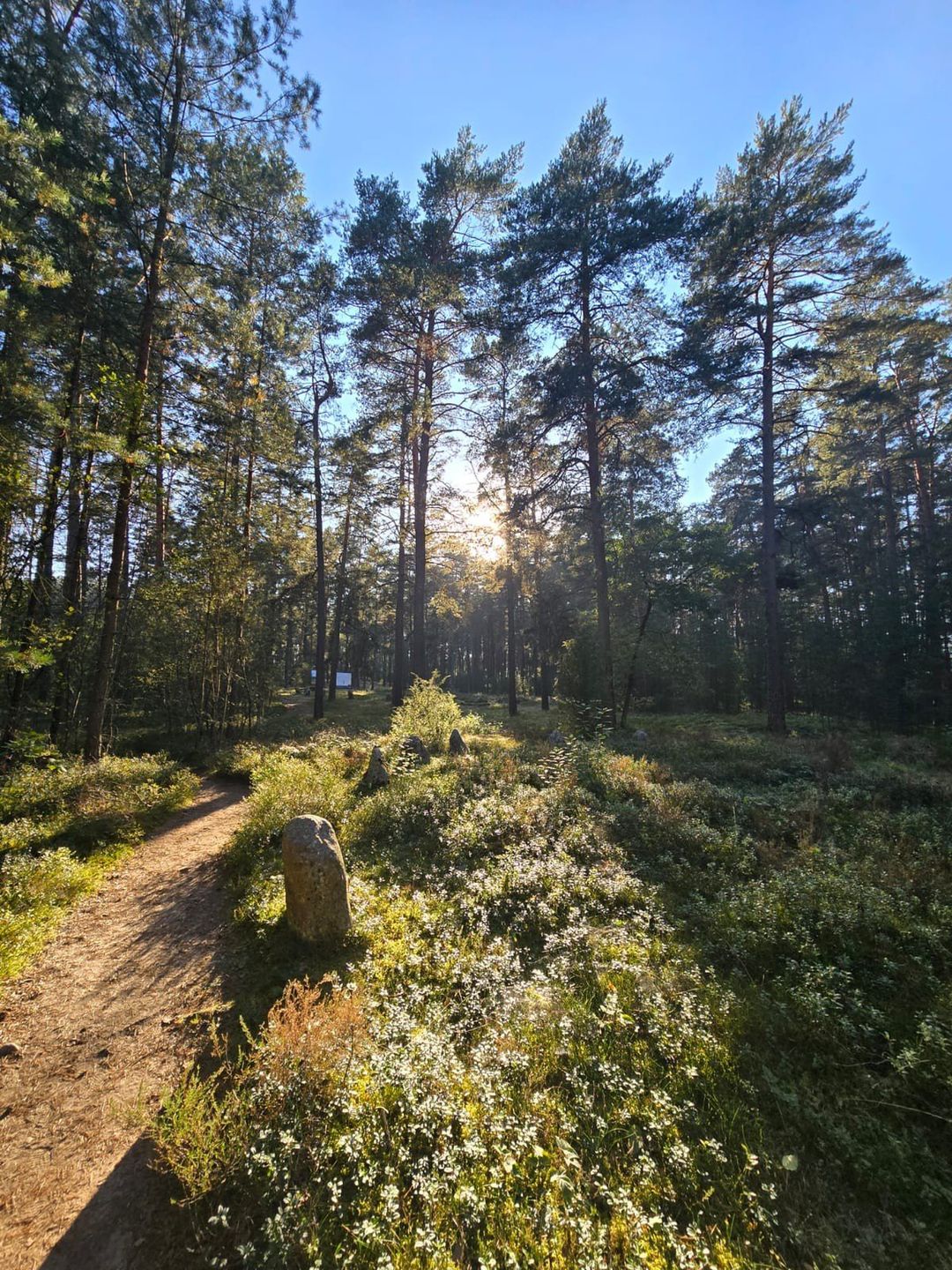 Kamienne Kręgi