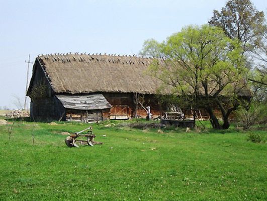 Obraz