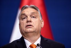 Orban wprowadza limity cen. Wybrał sześć produktów