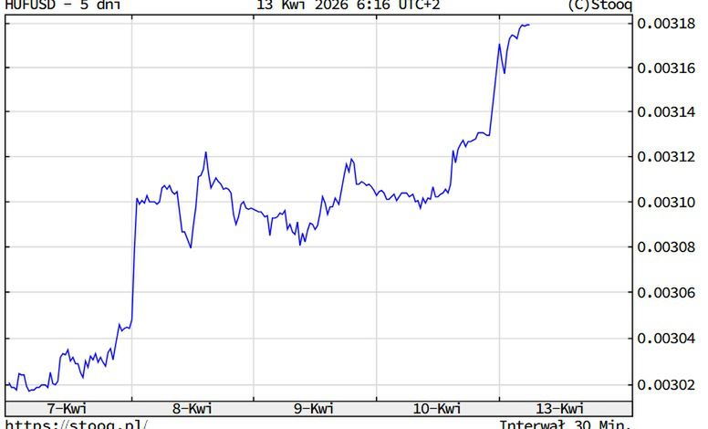 Kurs forinta w górę