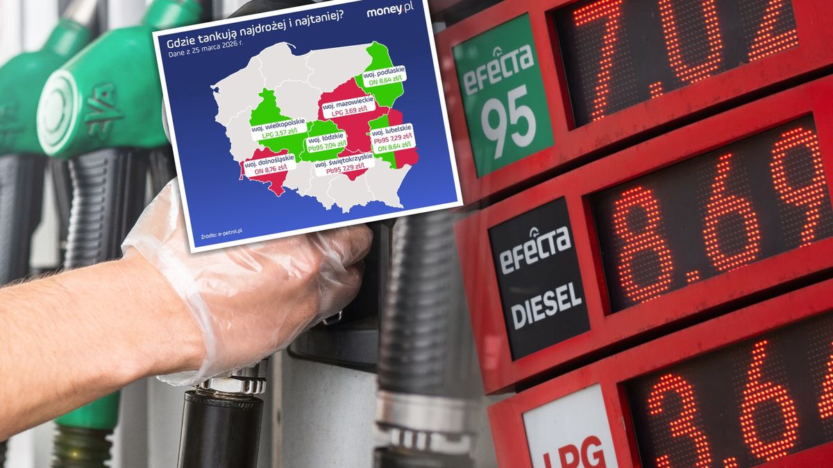 8,69 zł za litr diesla. Ceny w województwach