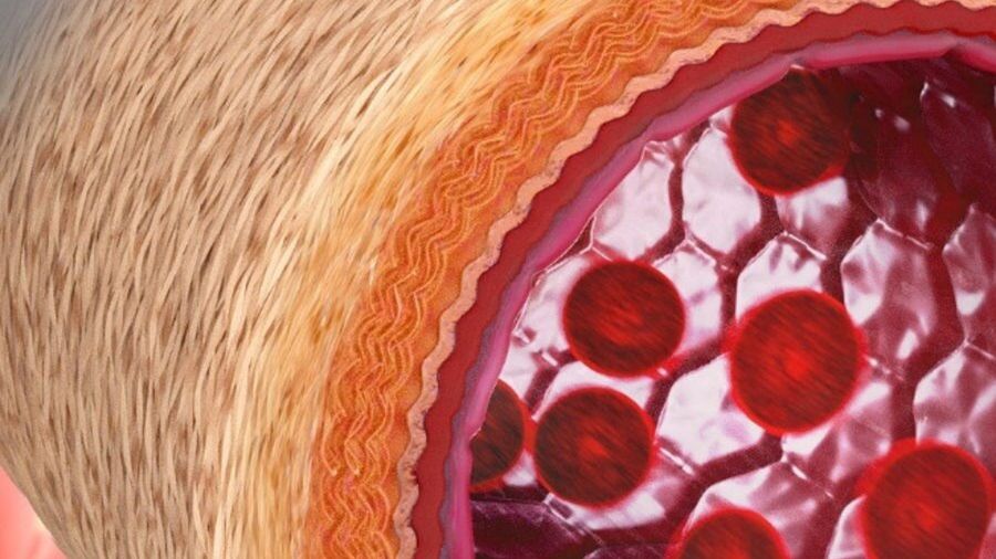 To bardzo ważne odkrycie dla przyszłości chirurgii.
