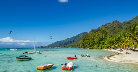 Tragiczny wypadek na wyspie Moorea. Polka próbowała uciec przed agresywnymi psami