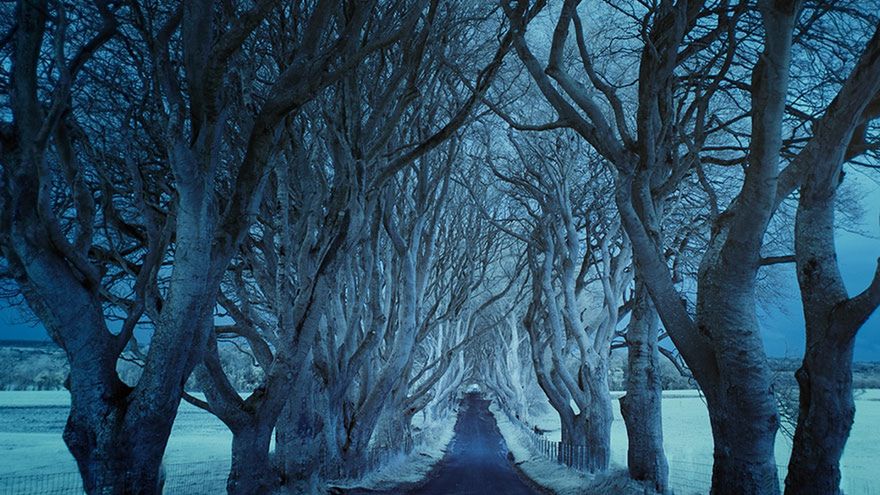 Ponure i tajemnicze drogi sfotografowane w różnych zakątkach świata 1