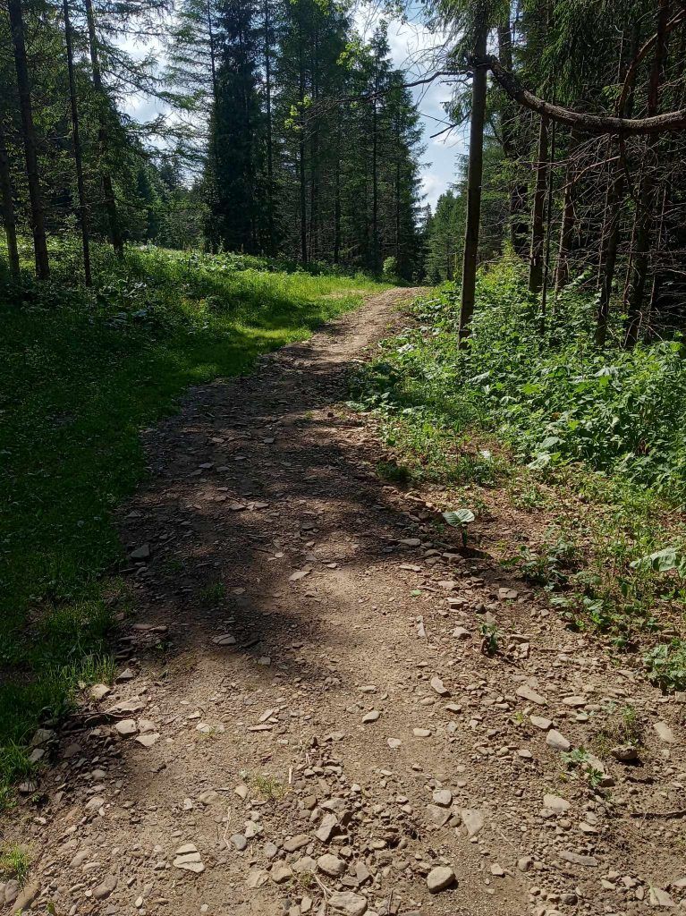 szlak z brenzberg do muczne