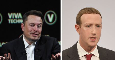 Walka w klatce. Zuckerberg przyjął wyzwanie Muska