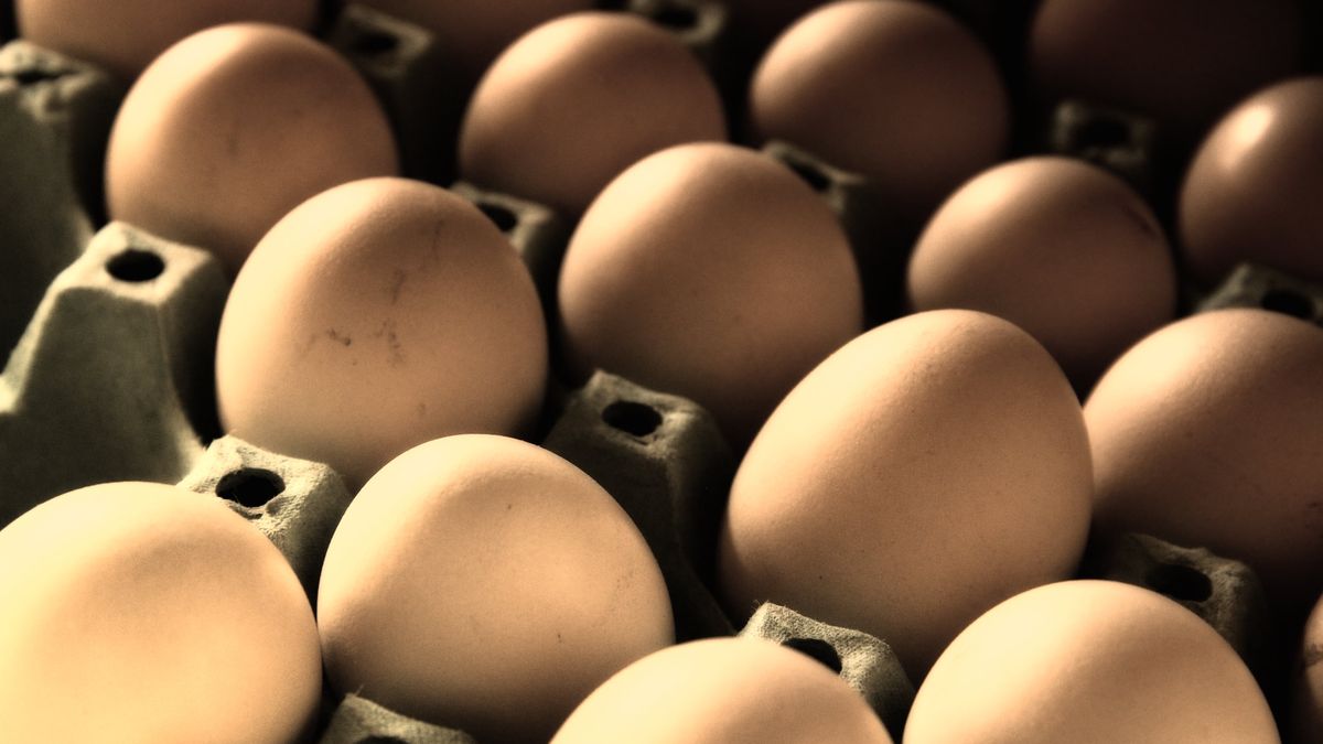 Salmonella wykryta w jajach z Biedronki - alarmuje Główny Inspektorat Sanitarny 