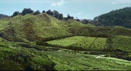 Przyprawy Kamis od sprawdzonych farmerów reklamowane hasłem "A dokładniej?”