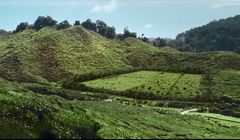 Przyprawy Kamis od sprawdzonych farmerów reklamowane hasłem "A dokładniej?”