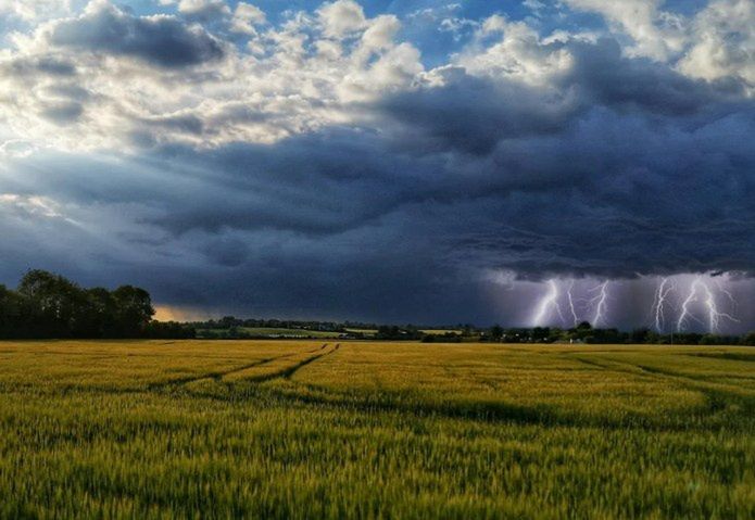 Ruszyły jesienne ubezpieczenia upraw w Generali Polska