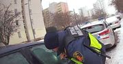Warszawa: Wybili szybę, wyciągnęli psa z auta