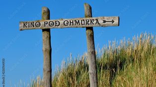 Kina "pod chmurką" w Bydgoszczy zapraszają na bezpłatne seanse. Sprawdźcie repertuar!