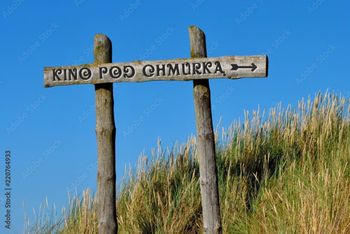 Kina "pod chmurką" w Bydgoszczy zapraszają na bezpłatne seanse. Sprawdźcie repertuar!