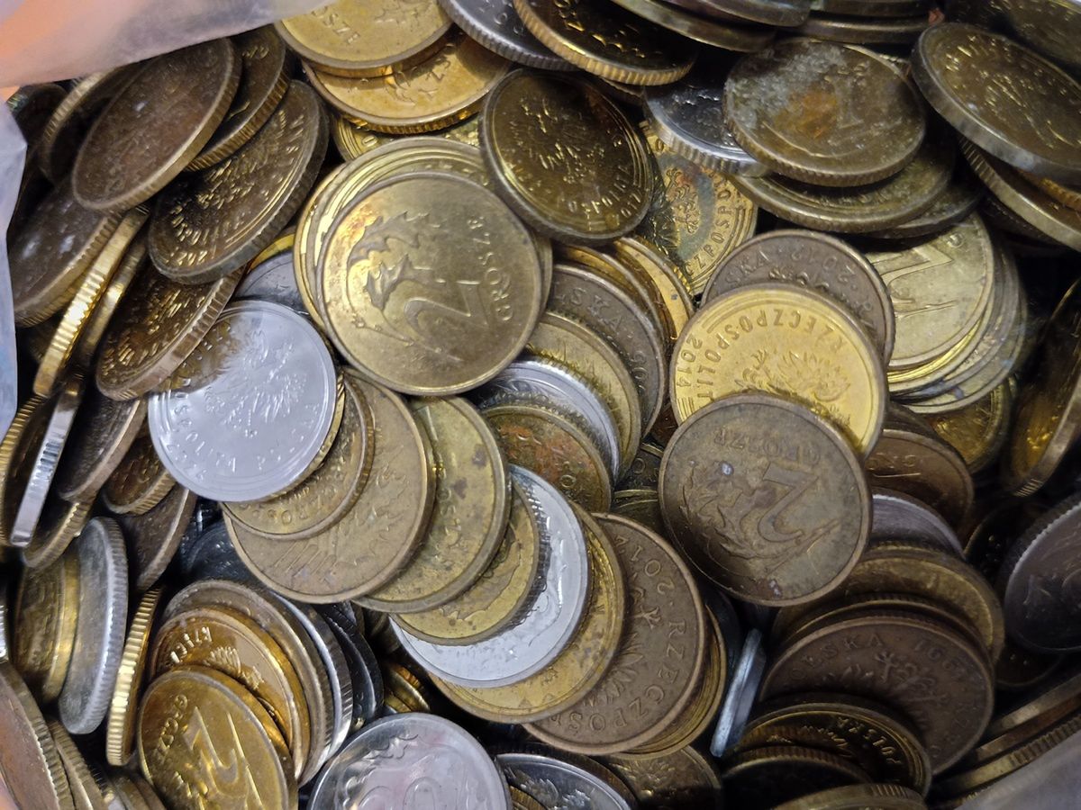 Policja w Gostyninie szuka właściciela monet i plecaka. Przedmioty znalezione na ul. Armii Krajowej!