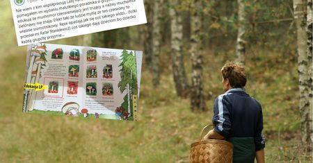 "Coś takiego dają dzieciom". Grzybiarze ostro o książce wydanej przez Lasy Państwowe