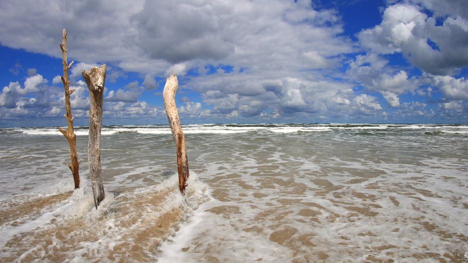 Morze zabiera plażę podczas sztormu