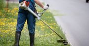 Wybieramy podkaszarkę. Modele do małych i dużych ogrodów