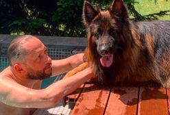 "Zawsze razem". Wiemy, co się stanie z psem Durczoka