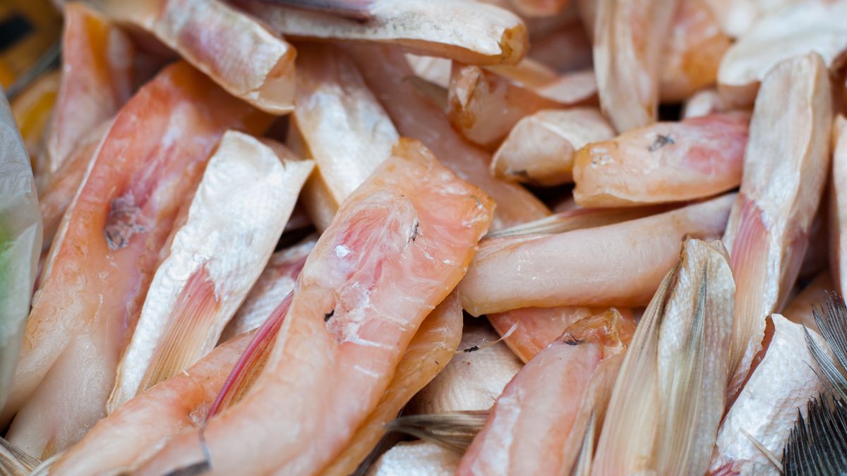 Jakich ryb należy unikać?