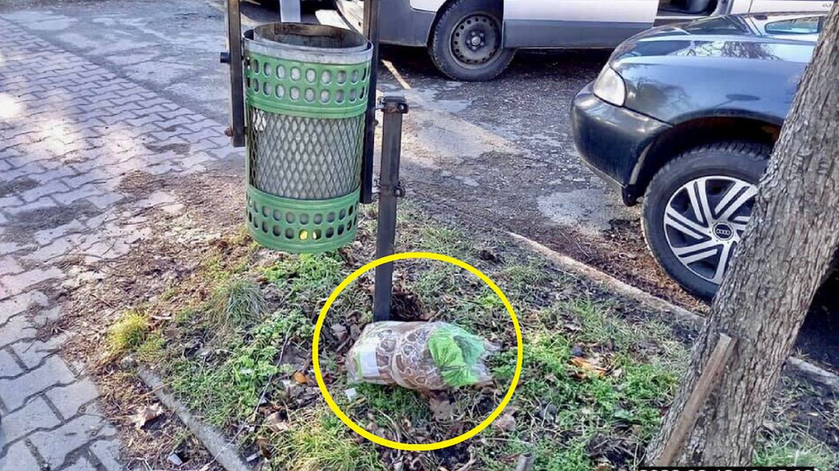 Nie taki wąż straszny - żąrtuja strażnicy