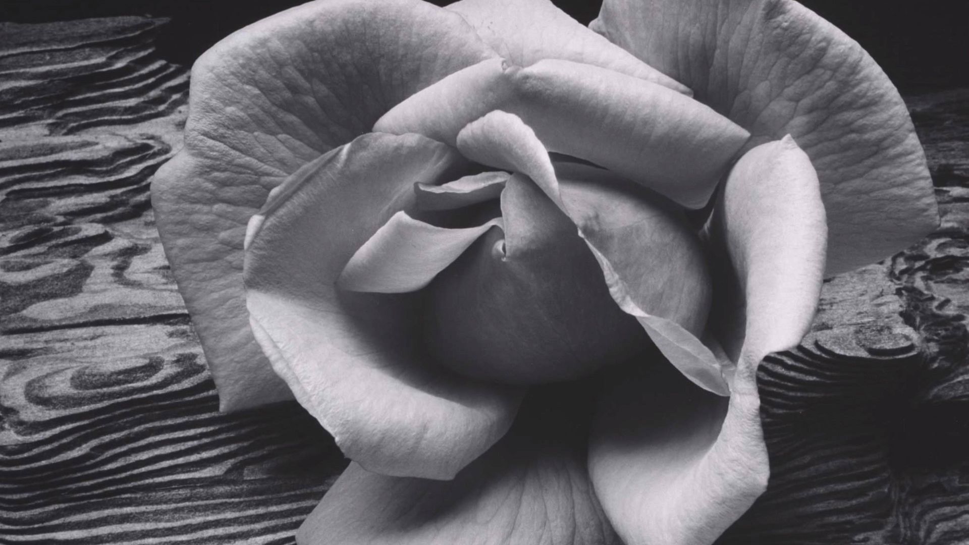 Dlaczego Ansel Adams stał się legendą? 7