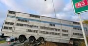Samochód do przewozu zwierząt zjechał do rowu przy zjeździe z S-8