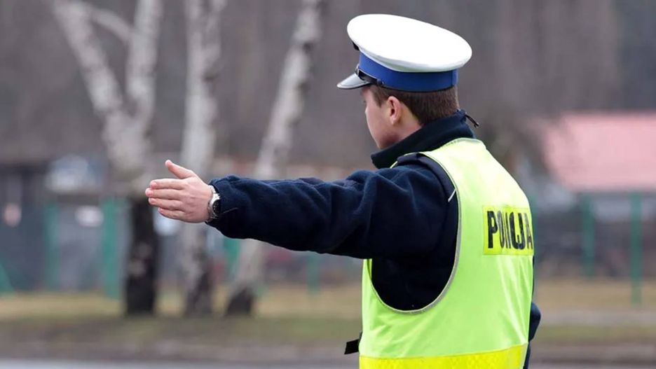 Wypadek pod Krosnem Odrzańskim. BMW uderzyło w jelenia. Ranne dzieci. W aucie było za dużo osób