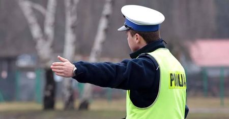 Wypadek pod Krosnem Odrzańskim. BMW uderzyło w jelenia. Ranne dzieci. W aucie było za dużo osób